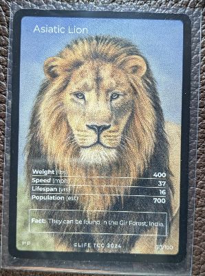 Asiatic Lion · Full Art