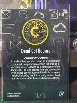 Dead Cat Bounce · Onyx, back