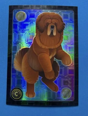 Tibetan Mastiff