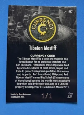Tibetan Mastiff · Onyx, back