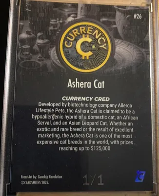 Ashera Cat · Onyx, back