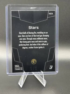 Stars · Onyx, back